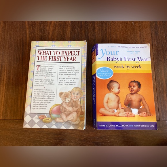 Parenting/Pregnancy Books (2) - Picture 1 of 3